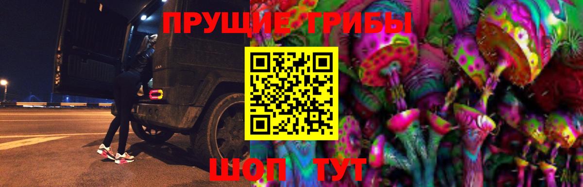 где купить наркотик  Псилоцибиновые грибы ЛСД  Вход с VPN  Псилоцибиновые грибы мицелий  Усолье-Сибирское 